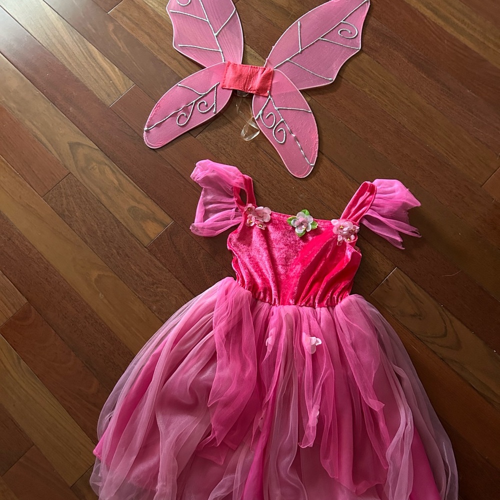 Girls butterfly costume